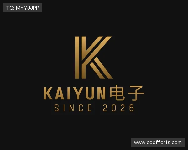 关于kaiyun电子